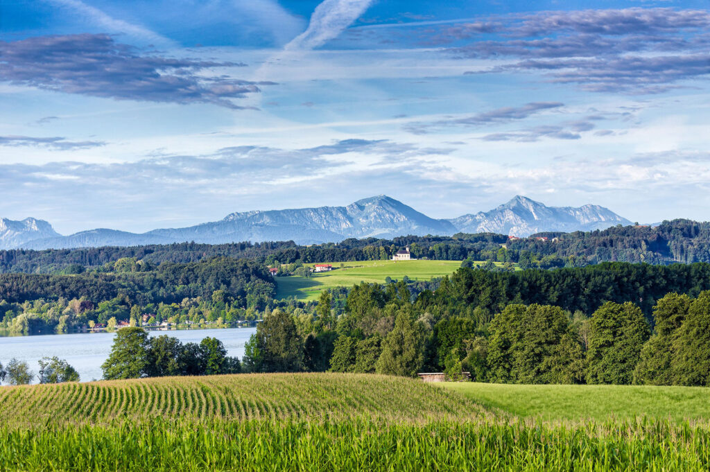 Waginger See mit Blick über die Felder und Alpen