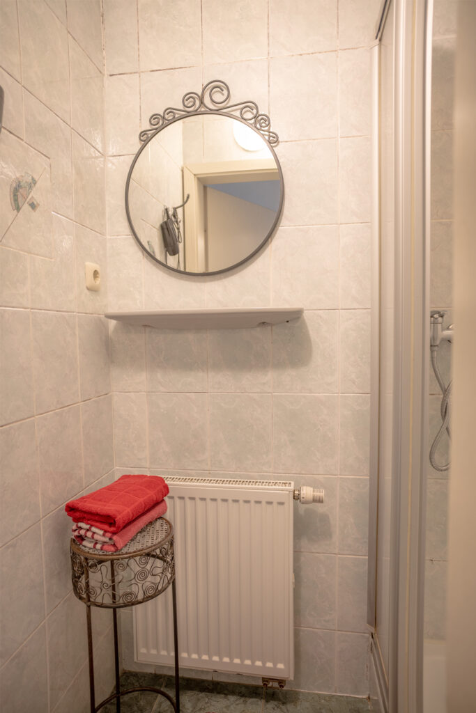 Bad in der Ferienwohnung Rustica im Gästehaus mit Dusche, Spiegel, Handtuchablage