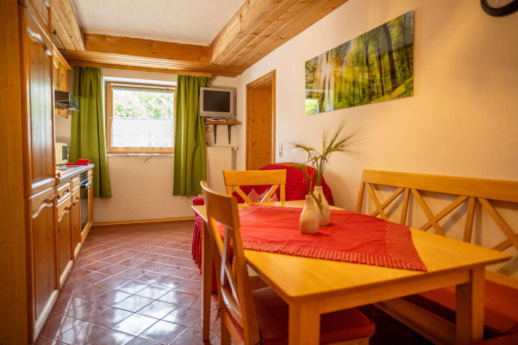 Blick zum Fenster der Küche mit Küchenzeile, Essecke, Sofa und TV