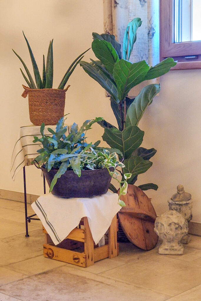 Wohlfühl-Oase mit Blumen in der Galerie der Ferienwohnung Alpenblick